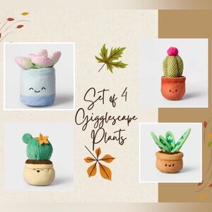 9" Tall Cactus, 6" Echeveria, 7" Short Fat Cactus, 8" Snake Plant - Gigglescape